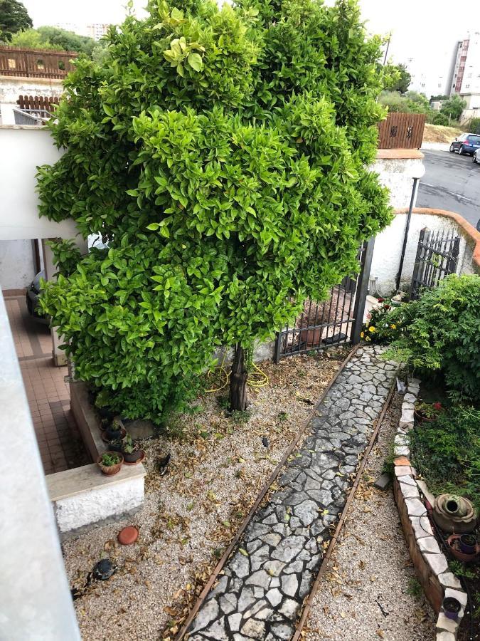 B&B San Liborio 奇维塔韦基亚 外观 照片